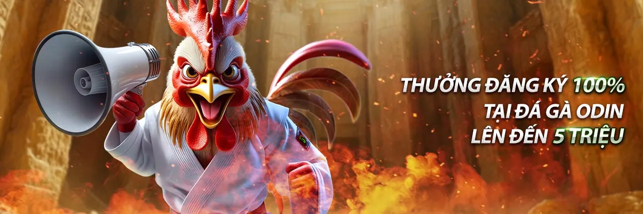 Hình ảnh chính của blog 789b1 win với các chủ đề cá cược trực tuyến và tin tức mới nhất